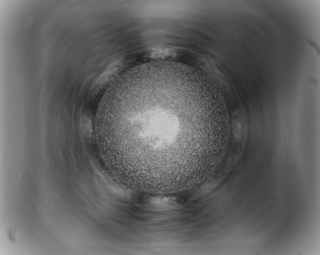X0000100340375200806051544