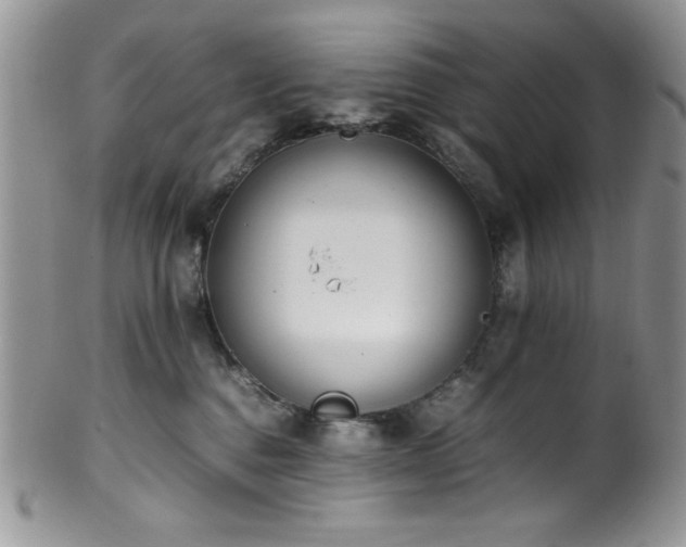 X0000100340376200806051544
