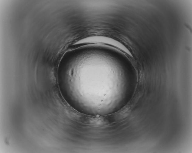 X0000100340377200806051544
