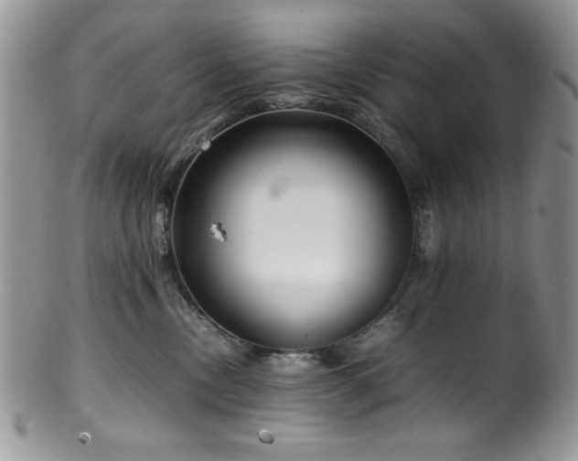 X0000100340378200806051544