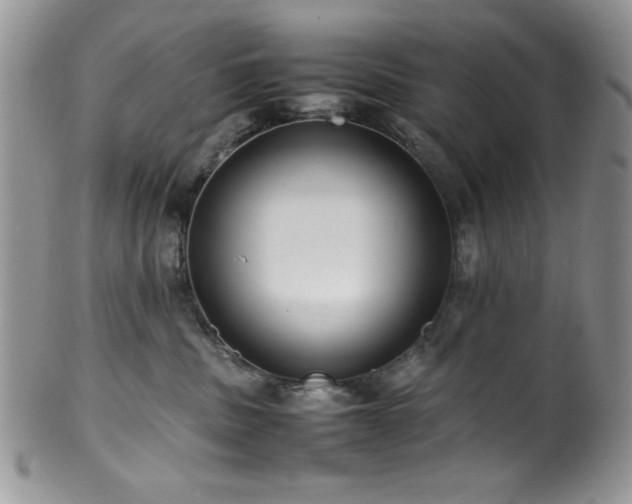 X0000100340379200806051544