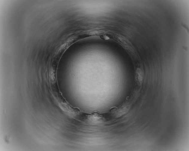 X0000100340380200806051544