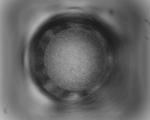 X0000100340381200806051544