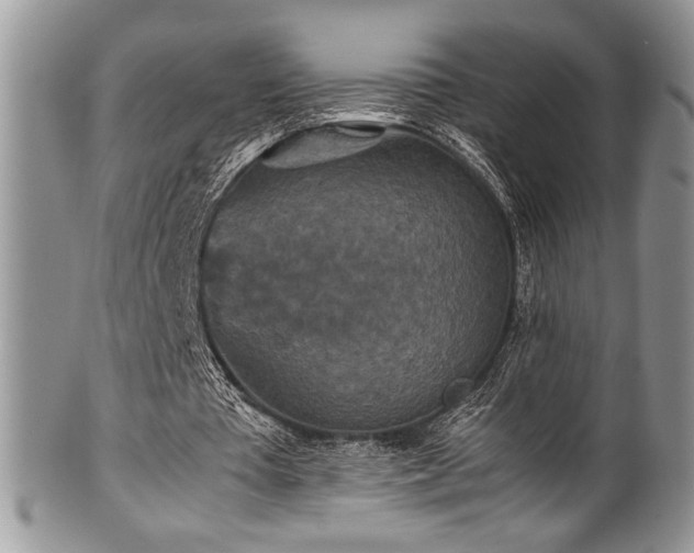 X0000100340385200806051543