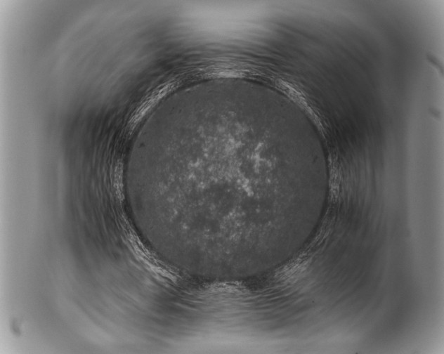 X0000100340386200806051543