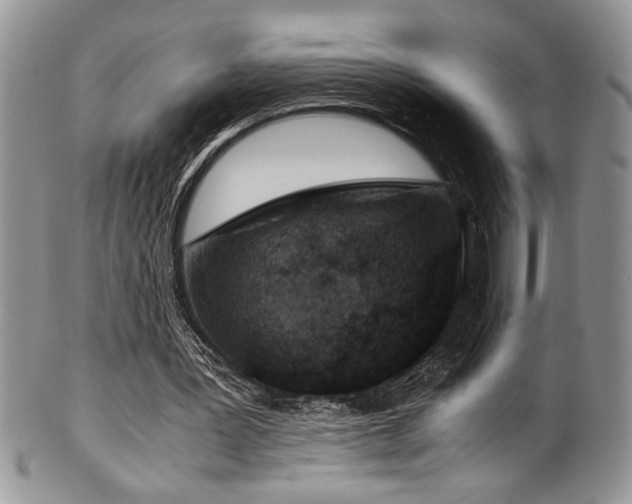 X0000100340387200806051543