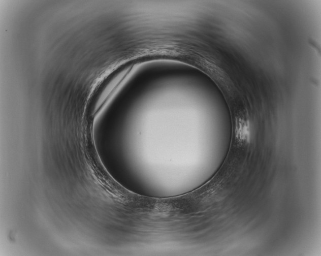 X0000100340388200806051543