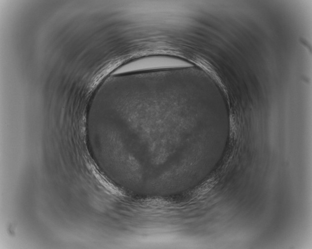 X0000100340389200806051543