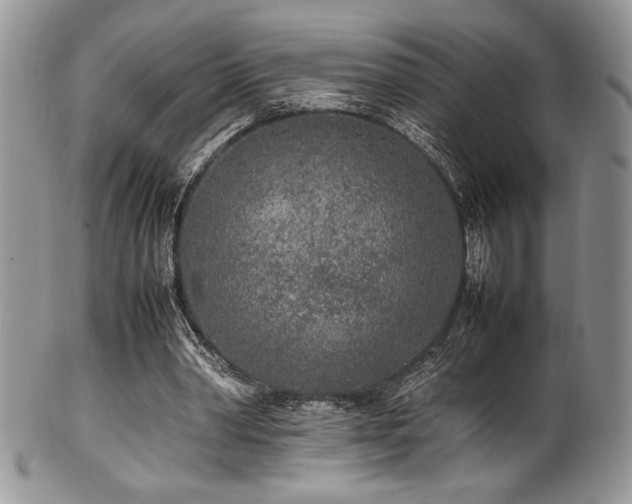 X0000100340390200806051543