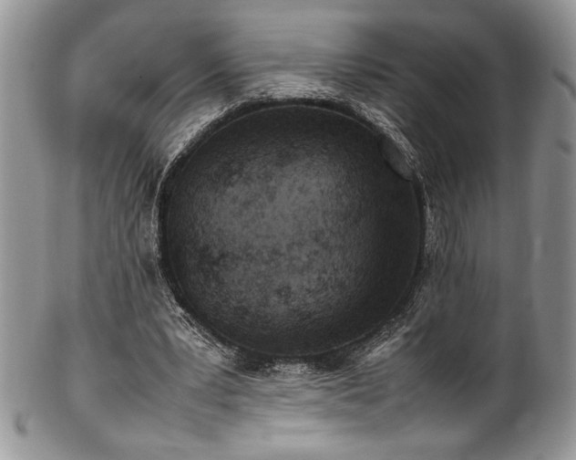 X0000100340391200806051543