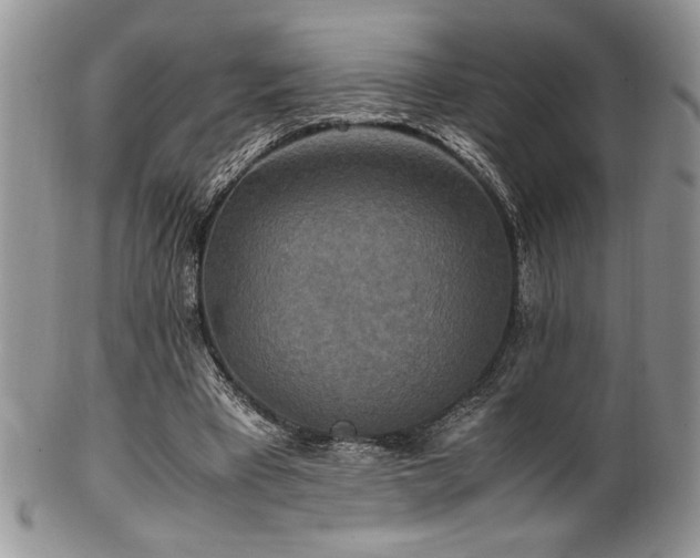 X0000100340393200806051543
