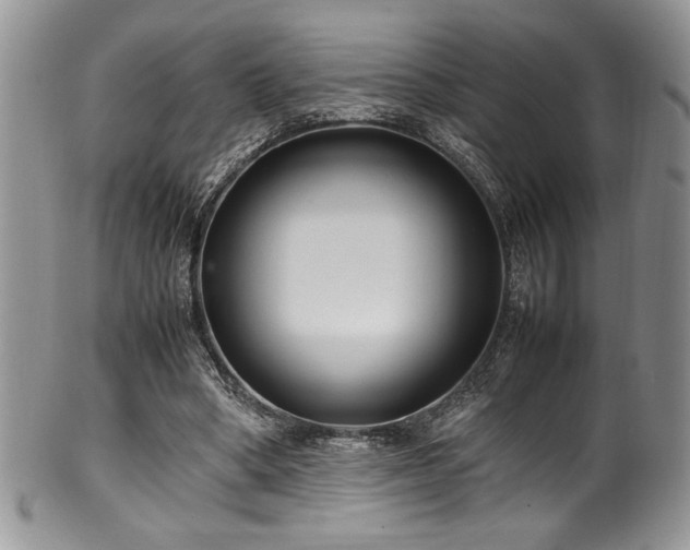 X0000100340394200806051543
