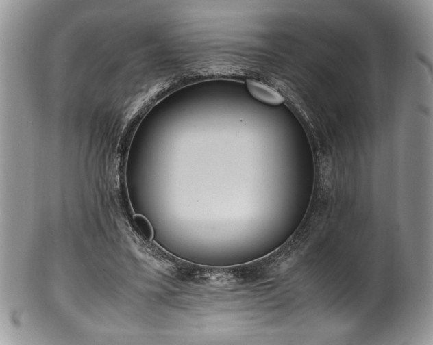 X0000100340395200806051543