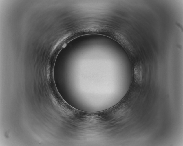 X0000100340396200806051543