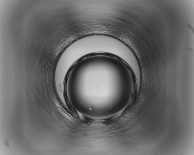 X0000100340397200806051543
