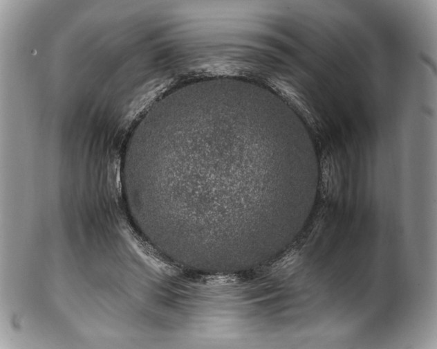 X0000100340398200806051543