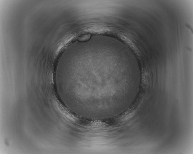 X0000100340399200806051543