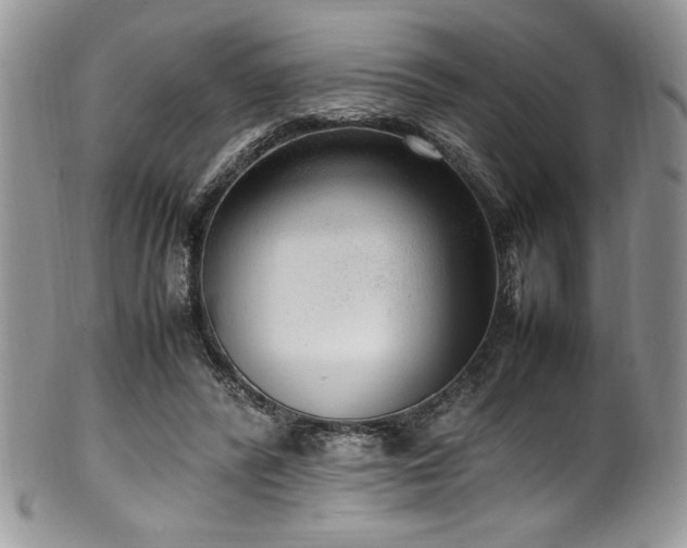 X0000100340400200806051543