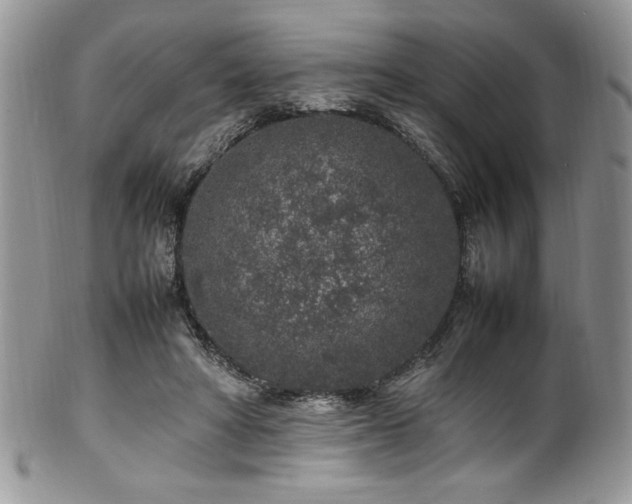 X0000100340402200806051543