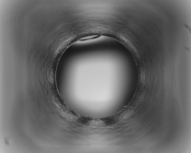 X0000100340403200806051543