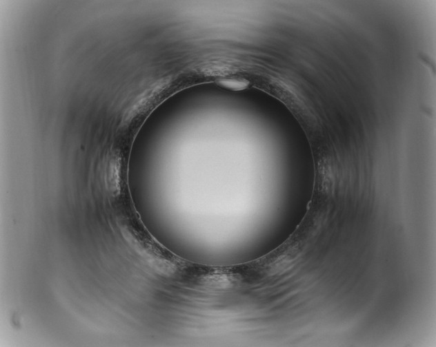X0000100340404200806051543