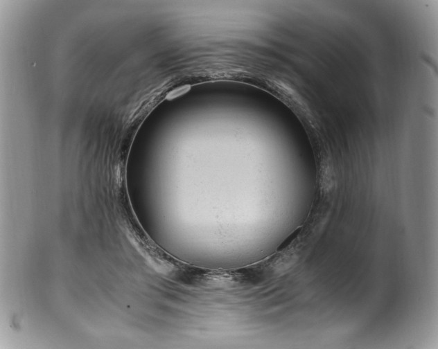 X0000100340405200806051543