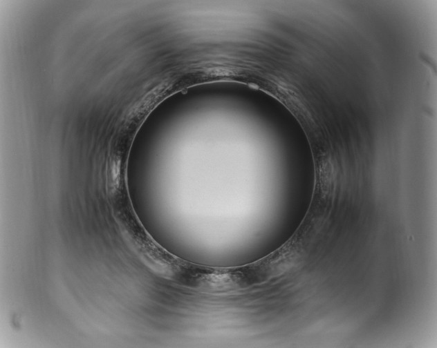 X0000100340406200806051543