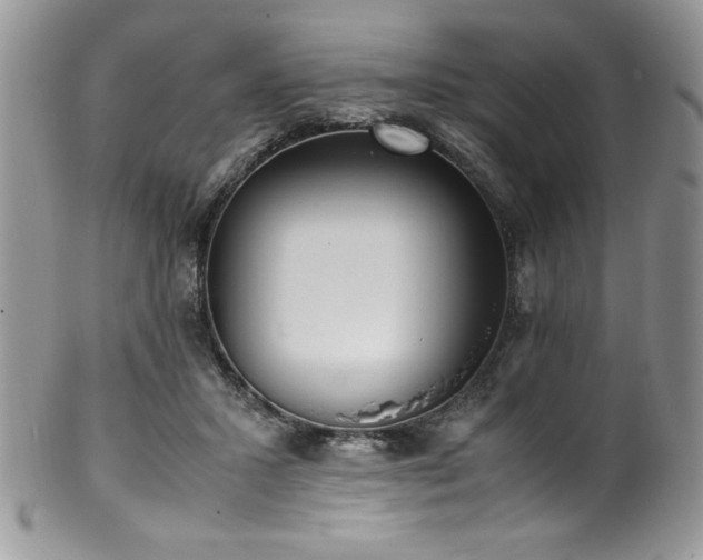 X0000100340407200806051543