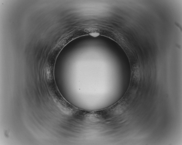 X0000100340408200806051543