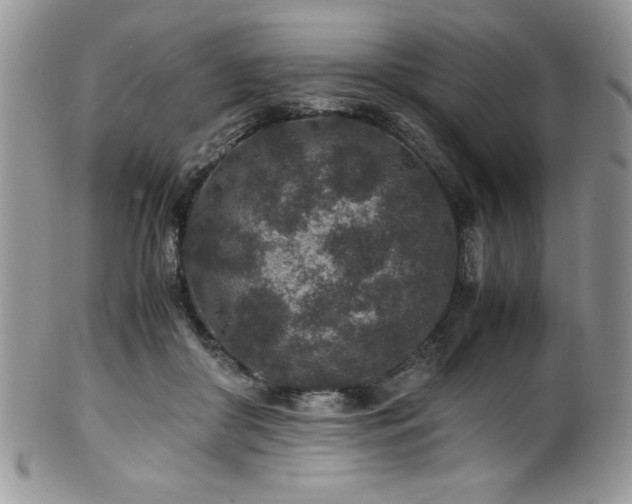 X0000100340410200806051543