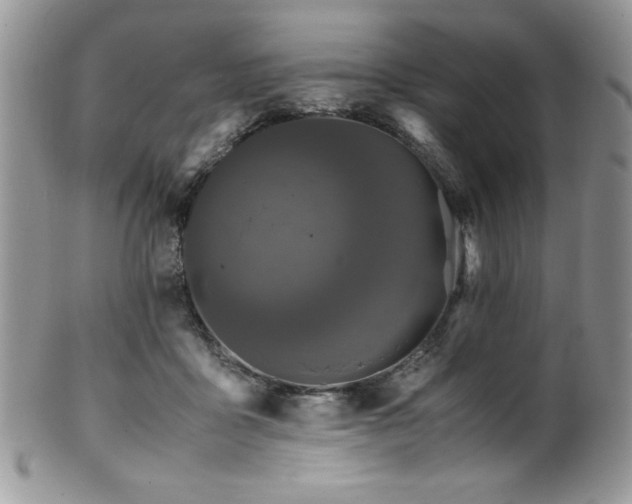X0000100340411200806051543