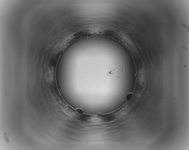 X0000100340413200806051543