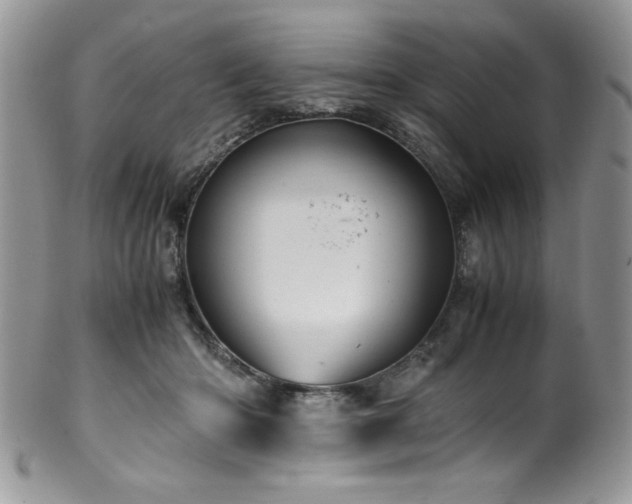 X0000100340414200806051543