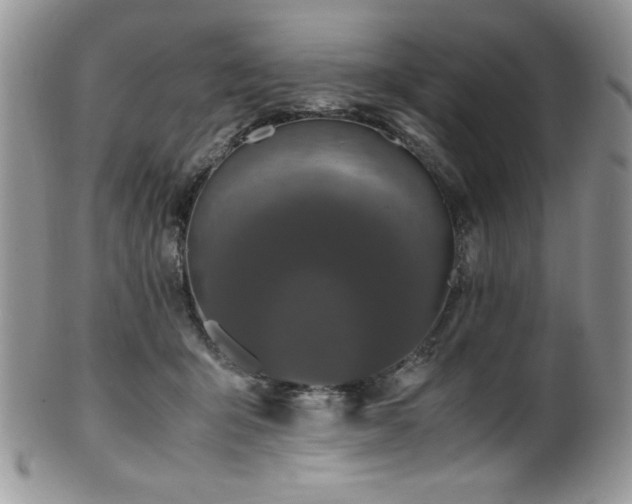 X0000100340415200806051543