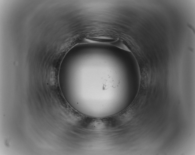 X0000100340416200806051543