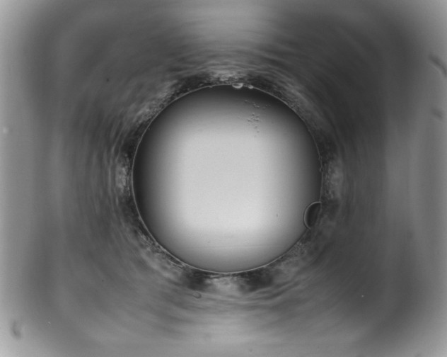 X0000100340417200806051543