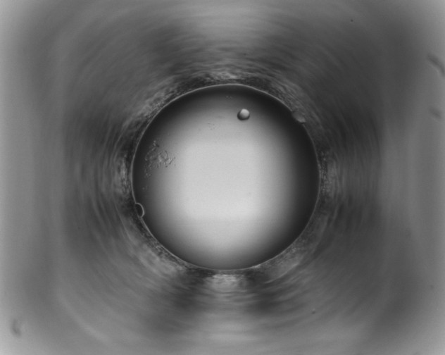 X0000100340418200806051543