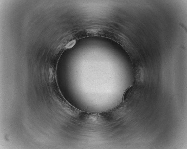 X0000100340420200806051543