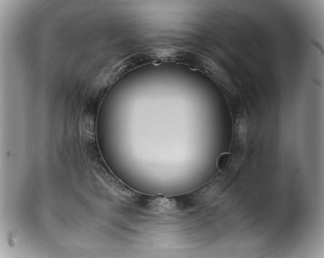 X0000100340421200806051543