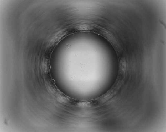 X0000100340422200806051543
