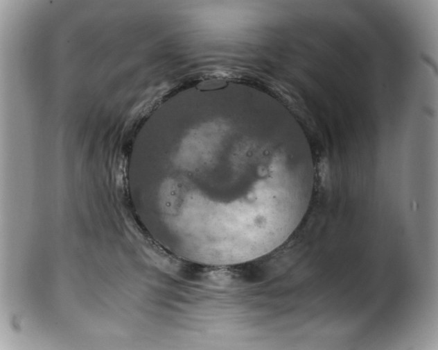 X0000100340423200806051543