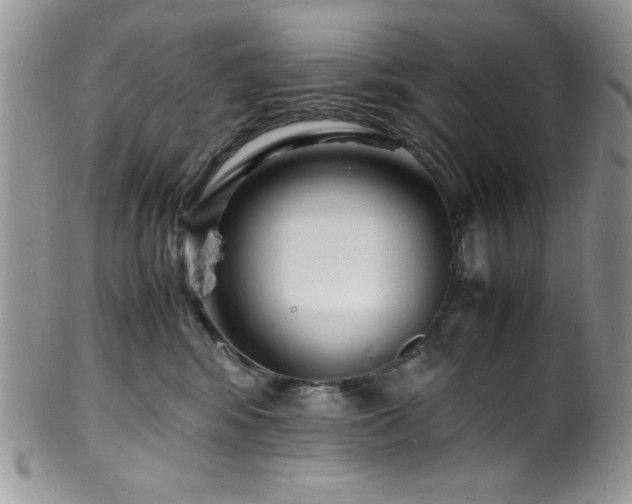 X0000100340424200806051543