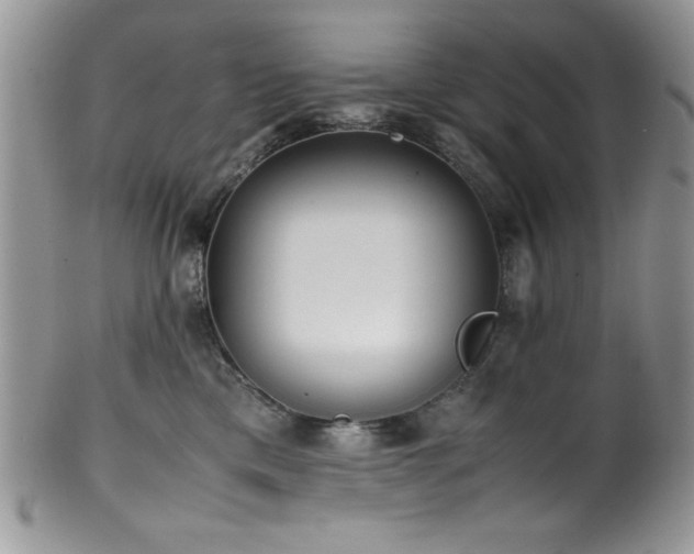 X0000100340425200806051543