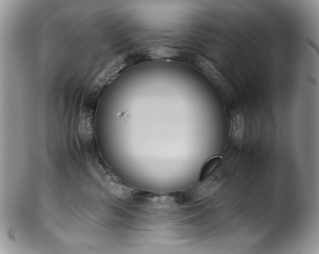 X0000100340426200806051543