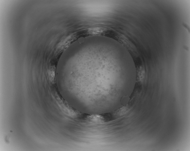 X0000100340427200806051543