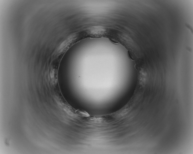 X0000100340428200806051543