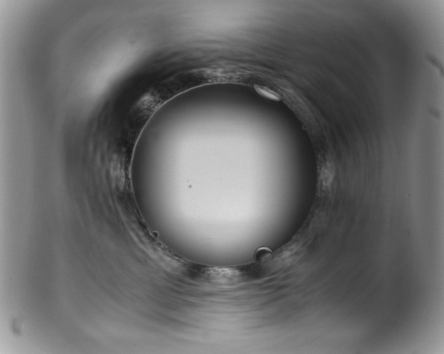 X0000100340429200806051543