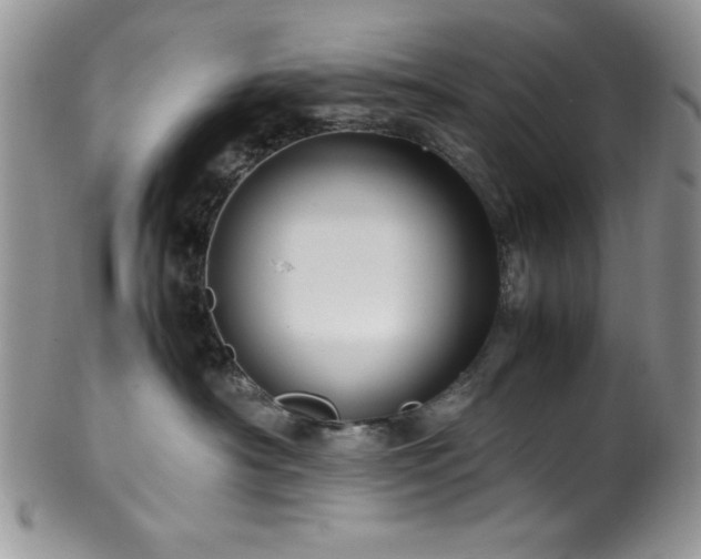 X0000100340430200806051543