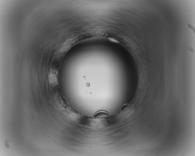 X0000100340432200806051542