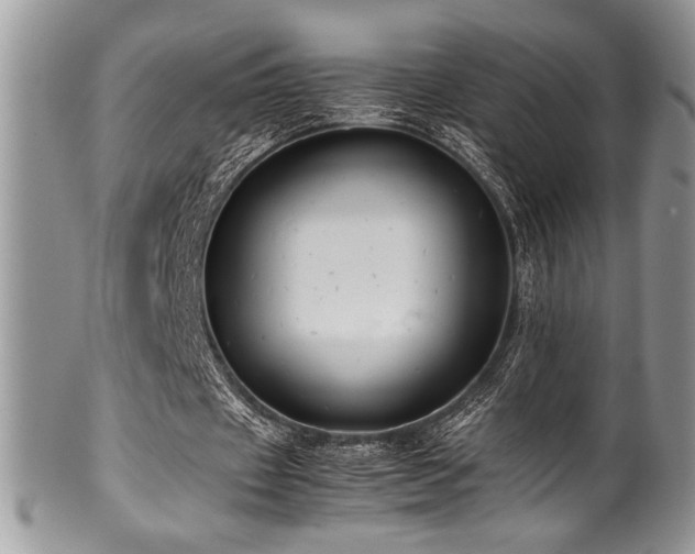 X0000100340433200806051542